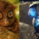 Illustration for article titled The Real-Life Baby Animals That Inspired emEarth To Echo/ems Alien
